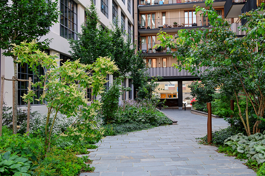 2089 Skålen29 Norrbackagatan Sthlm HP HC (31) LR