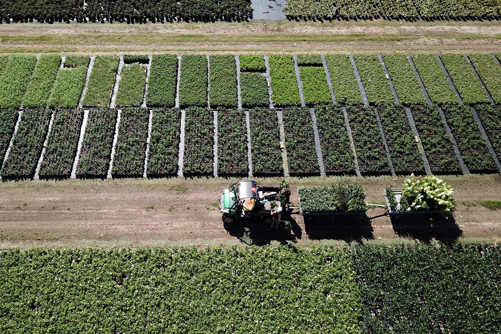 Splendorplantsbild Baramineraler DJI 0115